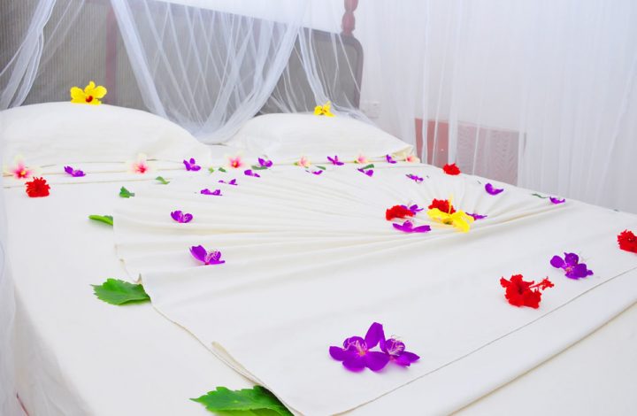 luxury Single Room – Half Board
